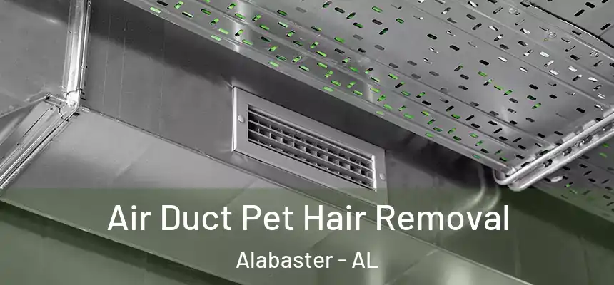 Air Duct Pet Hair Removal Alabaster - AL
