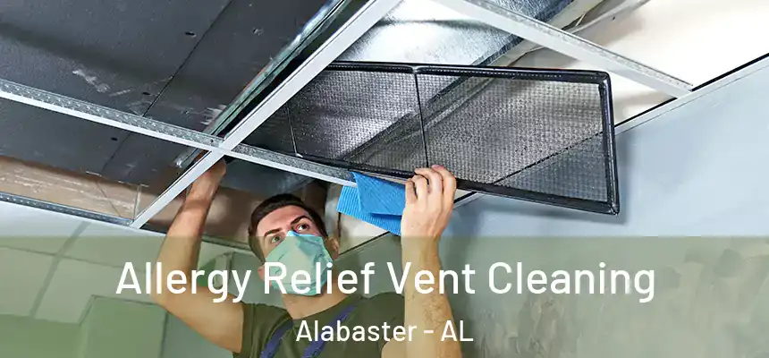  Allergy Relief Vent Cleaning Alabaster - AL