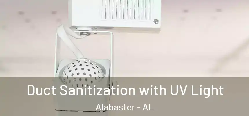  Duct Sanitization with UV Light Alabaster - AL