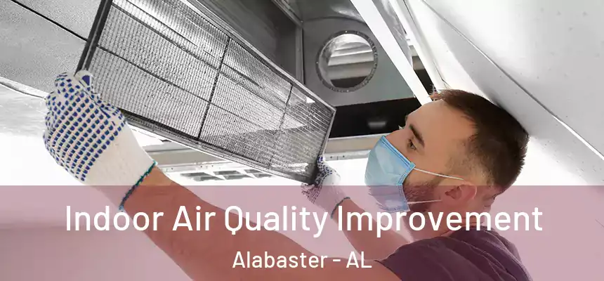  Indoor Air Quality Improvement Alabaster - AL