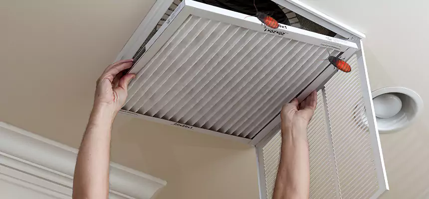 Preventive Cockroach-Proofing for Ducts in Alabaster