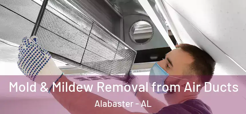 Mold & Mildew Removal from Air Ducts Alabaster - AL