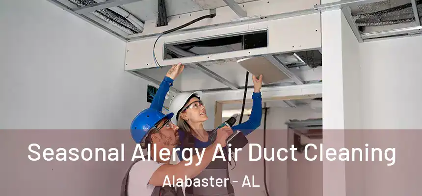 Seasonal Allergy Air Duct Cleaning Alabaster - AL