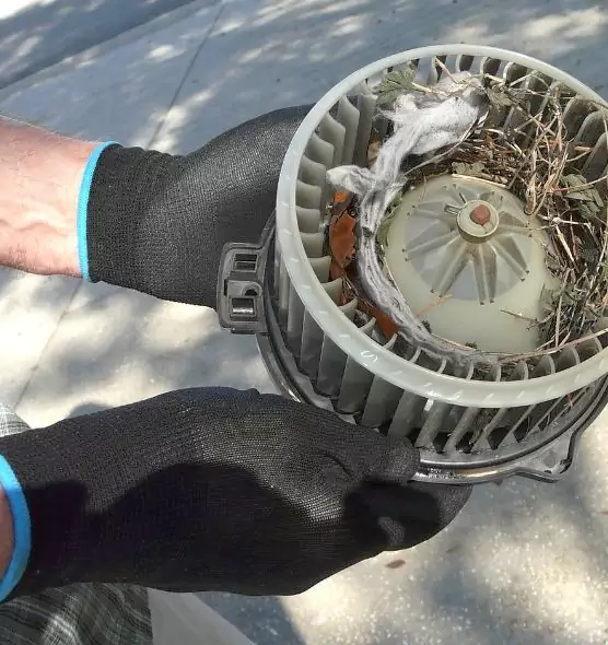 About Air Duct Mice Removal in Alabaster, AL