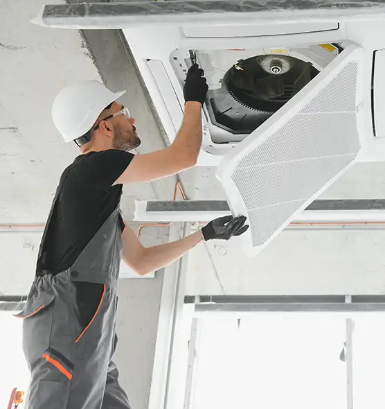 About Air Duct Rodent Removal in Alabaster, AL