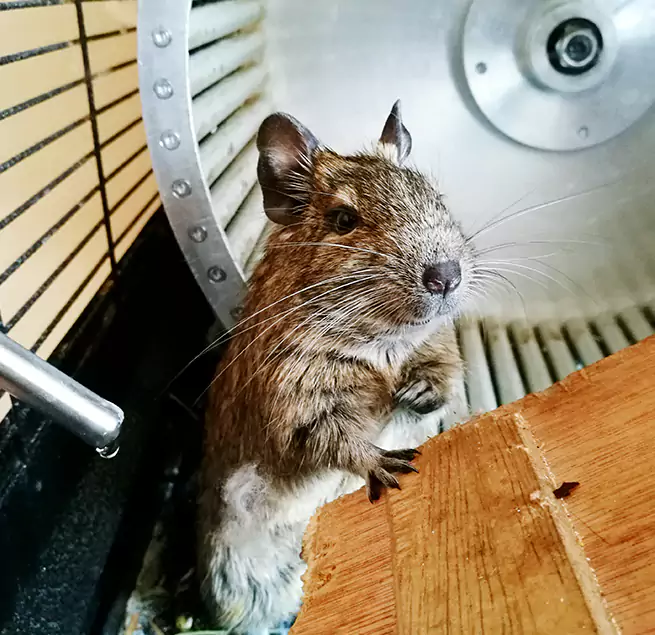 Why Homeowners & Businesses Trust Us Alabaster, AL