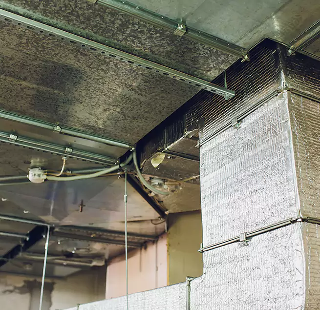 Why Homeowners & Businesses Trust Us in Alabaster, AL?